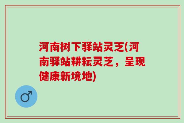 河南树下驿站灵芝(河南驿站耕耘灵芝,呈现健康新境地) 河南树下驿站灵芝(河南驿站耕耘灵芝,呈现健康新境地)