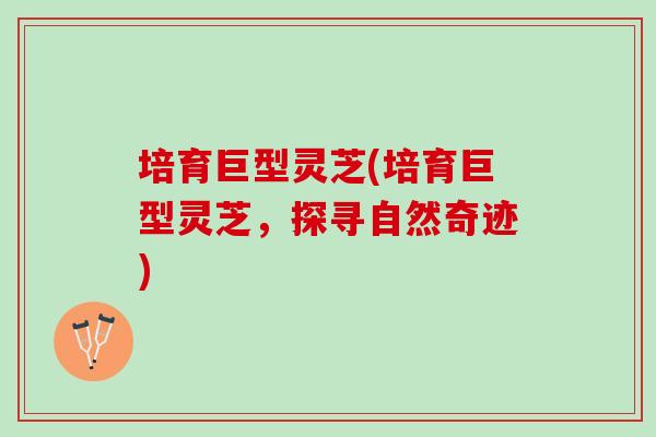 培育巨型灵芝(培育巨型灵芝，探寻自然奇迹)