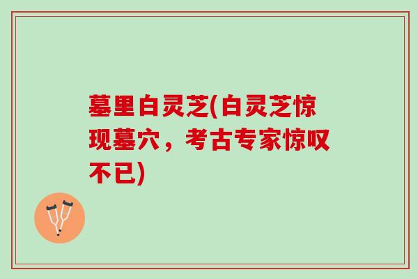 墓里白灵芝(白灵芝惊现墓穴,考古专家惊叹不已) 墓里白灵芝(白灵芝惊现墓穴,考古专家惊叹不已)