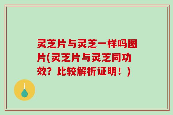 灵芝片与灵芝一样吗图片(灵芝片与灵芝同功效？比较解析证明！)