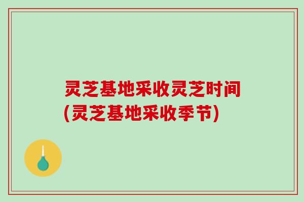 灵芝基地采收灵芝时间(灵芝基地采收季节)