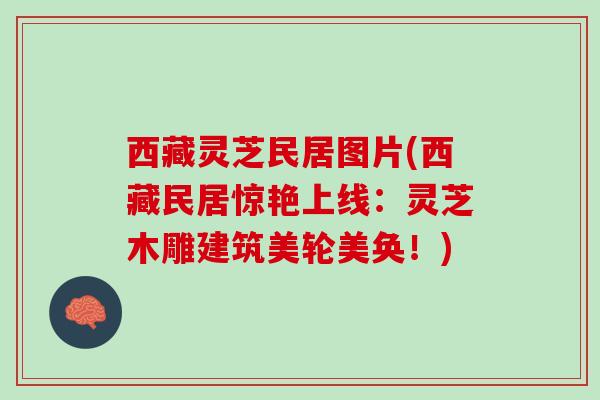西藏灵芝民居图片(西藏民居惊艳上线：灵芝木雕建筑美轮美奂！)