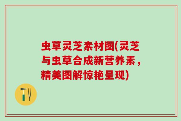 虫草灵芝素材图(灵芝与虫草合成新营养素，精美图解惊艳呈现)