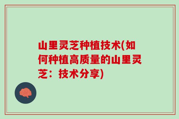 山里灵芝种植技术(如何种植高质量的山里灵芝：技术分享)