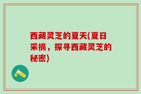 西藏灵芝的夏天(夏日采摘,探寻西藏灵芝的秘密) 西藏灵芝的夏天(夏日采摘,探寻西藏灵芝的秘密)