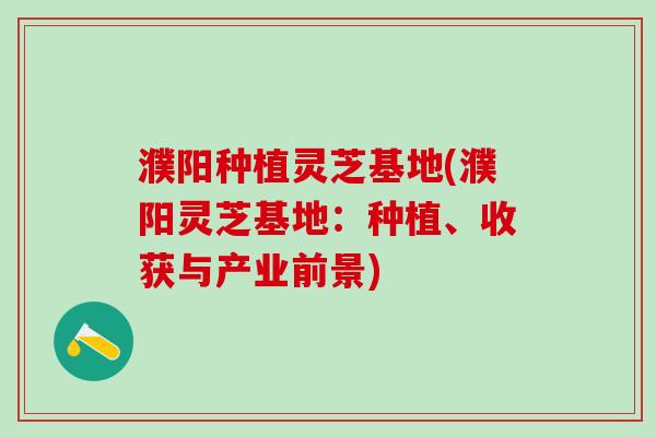 濮阳种植灵芝基地(濮阳灵芝基地：种植、收获与产业前景)