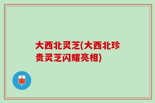 大西北灵芝(大西北珍贵灵芝闪耀亮相)