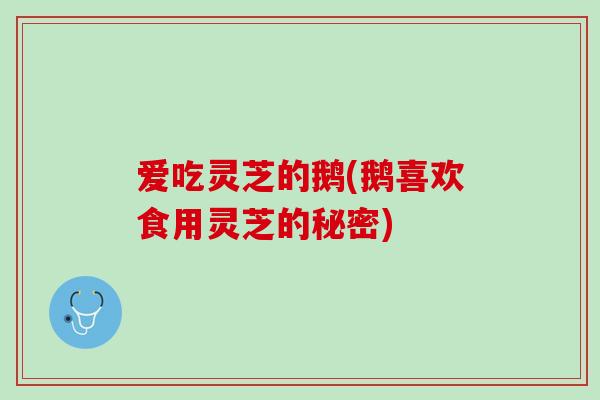 爱吃灵芝的鹅(鹅喜欢食用灵芝的秘密)