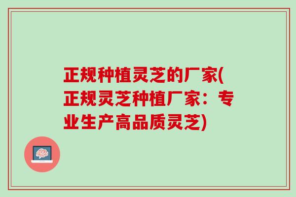 正规种植灵芝的厂家(正规灵芝种植厂家：专业生产高品质灵芝)