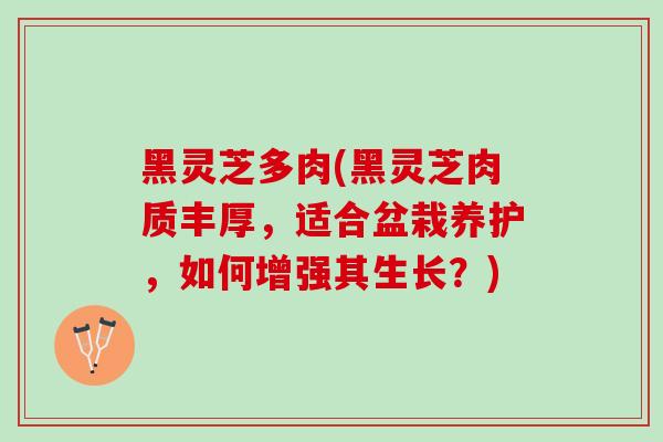 黑灵芝多肉(黑灵芝肉质丰厚，适合盆栽养护，如何增强其生长？)