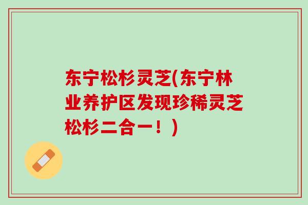 东宁松杉灵芝(东宁林业养护区发现珍稀灵芝松杉二合一！)