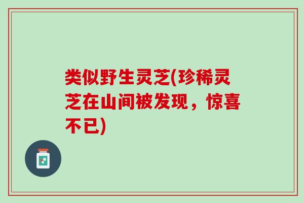 类似野生灵芝(珍稀灵芝在山间被发现，惊喜不已)