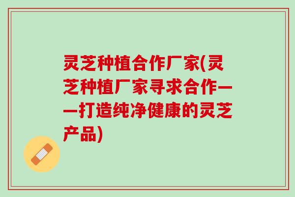 灵芝种植合作厂家(灵芝种植厂家寻求合作——打造纯净健康的灵芝产品)