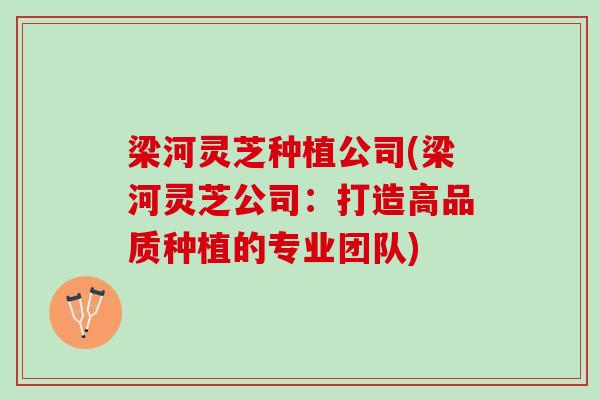 梁河灵芝种植公司(梁河灵芝公司：打造高品质种植的专业团队)