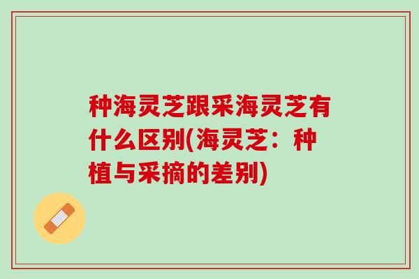 种海灵芝跟采海灵芝有什么区别(海灵芝：种植与采摘的差别)