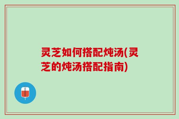 灵芝如何搭配炖汤(灵芝的炖汤搭配指南)