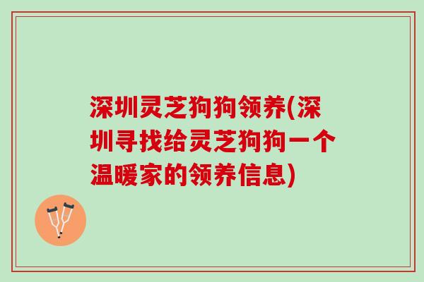 深圳灵芝狗狗领养(深圳寻找给灵芝狗狗一个温暖家的领养信息) 深圳灵芝狗狗领养(深圳寻找给灵芝狗狗一个温暖家的领养信息)