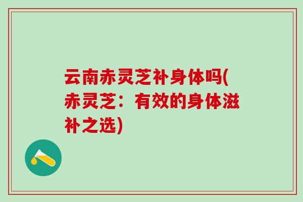 云南赤灵芝补身体吗(赤灵芝:有效的身体滋补之选) 云南赤灵芝补身体吗(赤灵芝:有效的身体滋补之选)