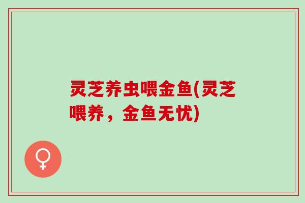 灵芝养虫喂金鱼(灵芝喂养,金鱼无忧) 灵芝养虫喂金鱼(灵芝喂养,金鱼无忧)