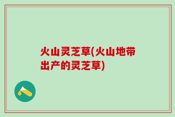 火山灵芝草(火山地带出产的灵芝草)