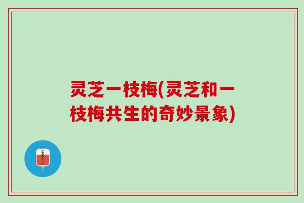 灵芝一枝梅(灵芝和一枝梅共生的奇妙景象)