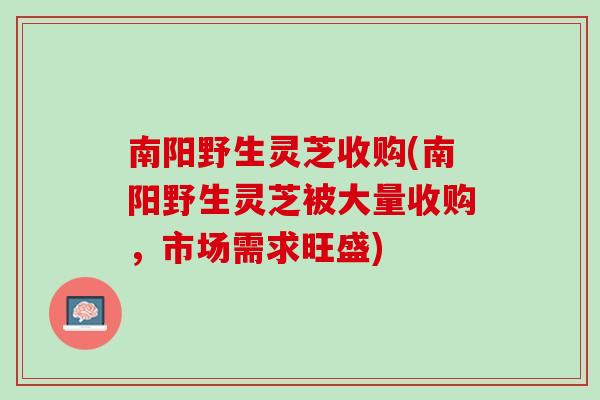 南阳野生灵芝收购(南阳野生灵芝被大量收购，市场需求旺盛)
