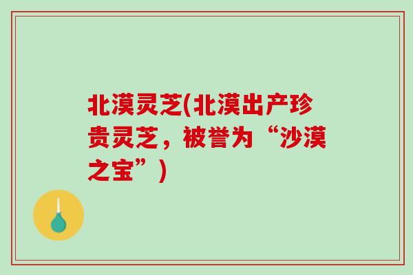 北漠灵芝(北漠出产珍贵灵芝，被誉为“沙漠之宝”)