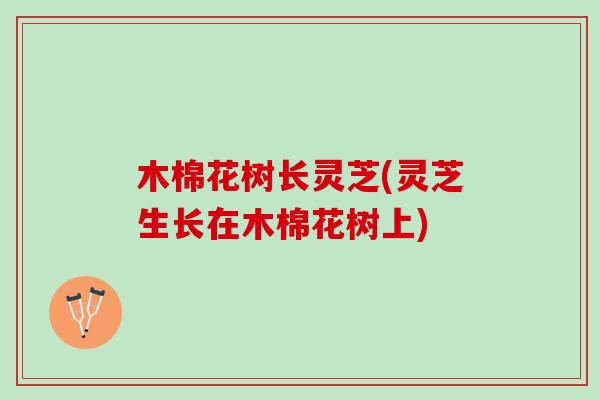 木棉花树长灵芝(灵芝生长在木棉花树上)