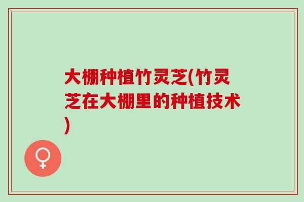 大棚种植竹灵芝(竹灵芝在大棚里的种植技术)