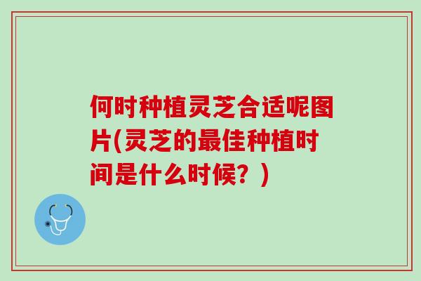 何时种植灵芝合适呢图片(灵芝的最佳种植时间是什么时候？)