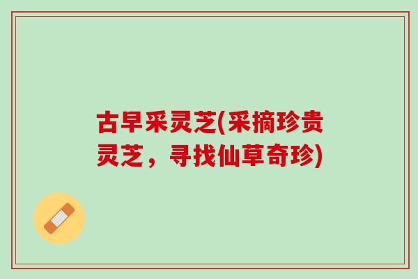 古早采灵芝(采摘珍贵灵芝，寻找仙草奇珍)