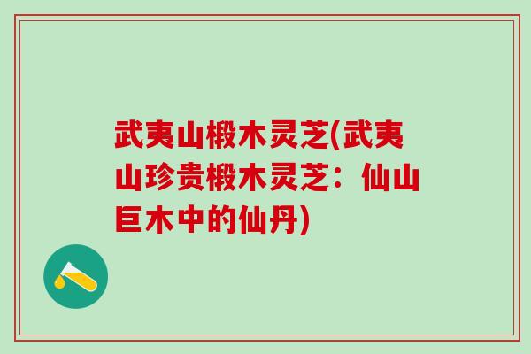武夷山椴木灵芝(武夷山珍贵椴木灵芝：仙山巨木中的仙丹)
