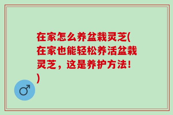 在家怎么养盆栽灵芝(在家也能轻松养活盆栽灵芝,这是养护方法!) 在家怎么养盆栽灵芝(在家也能轻松养活盆栽灵芝,这是养护方法!)