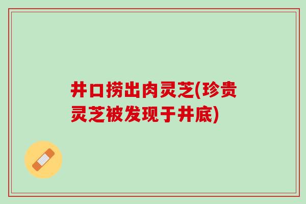 井口捞出肉灵芝(珍贵灵芝被发现于井底)