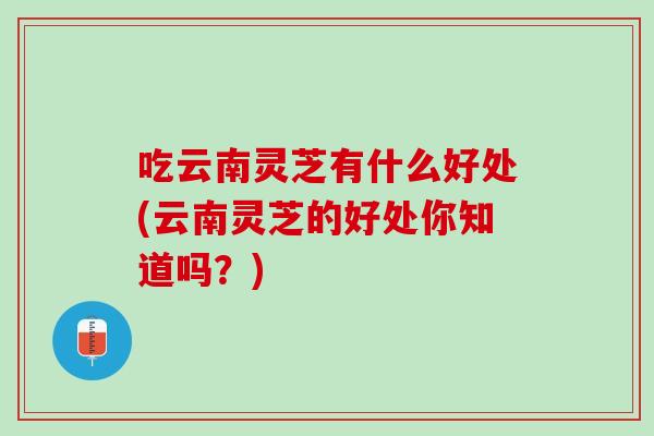 吃云南灵芝有什么好处(云南灵芝的好处你知道吗?) 吃云南灵芝有什么好处(云南灵芝的好处你知道吗?)