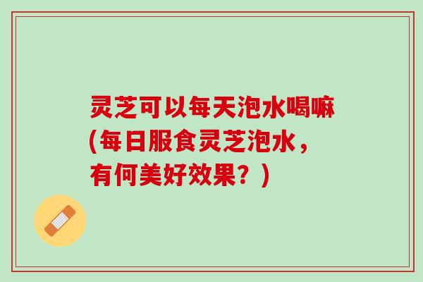灵芝可以每天泡水喝嘛(每日服食灵芝泡水，有何美好效果？)