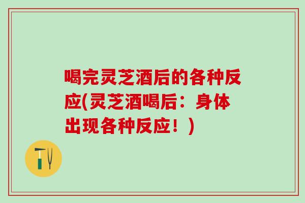 喝完灵芝酒后的各种反应(灵芝酒喝后:身体出现各种反应!) 喝完灵芝酒后的各种反应(灵芝酒喝后:身体出现各种反应!)