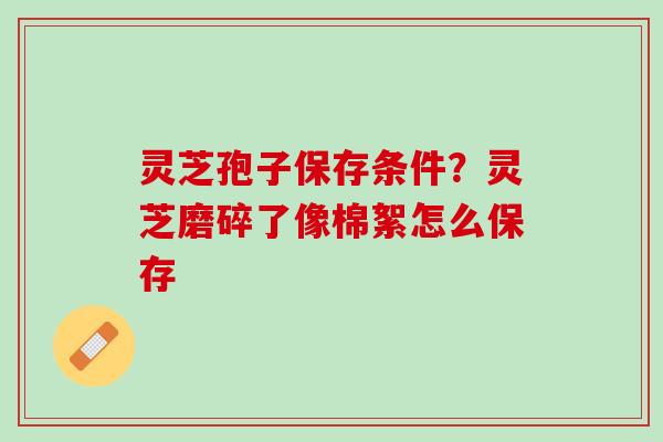 灵芝孢子保存条件?灵芝磨碎了像棉絮怎么保存 灵芝孢子保存条件?灵芝磨碎了像棉絮怎么保存