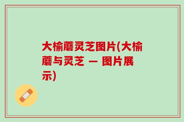 大榆蘑灵芝图片(大榆蘑与灵芝 — 图片展示)