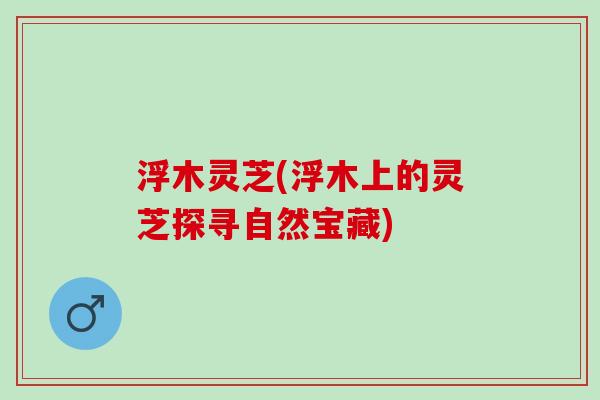 浮木灵芝(浮木上的灵芝探寻自然宝藏)