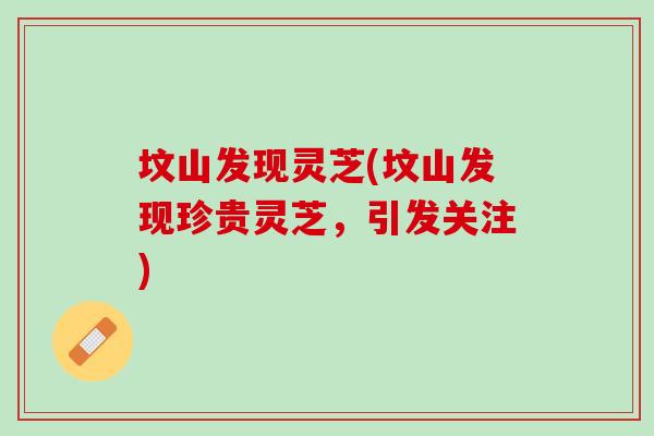 坟山发现灵芝(坟山发现珍贵灵芝，引发关注)