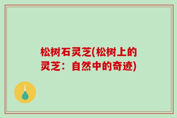 松树石灵芝(松树上的灵芝：自然中的奇迹)