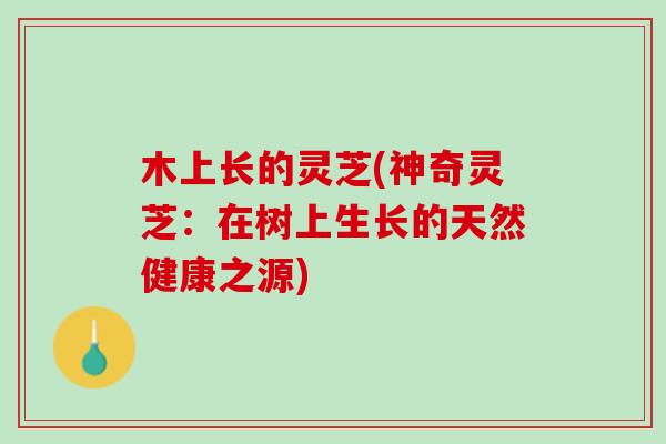 木上长的灵芝(神奇灵芝：在树上生长的天然健康之源)