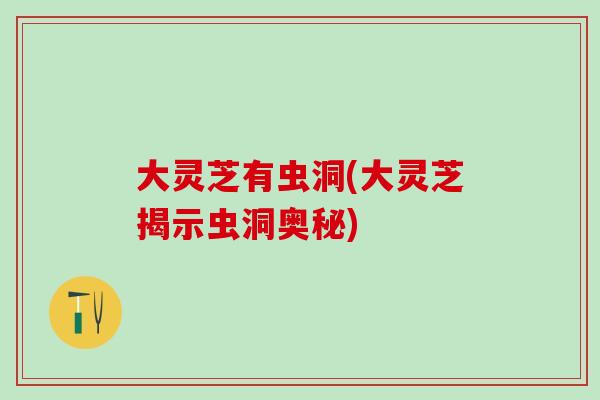 大灵芝有虫洞(大灵芝揭示虫洞奥秘)