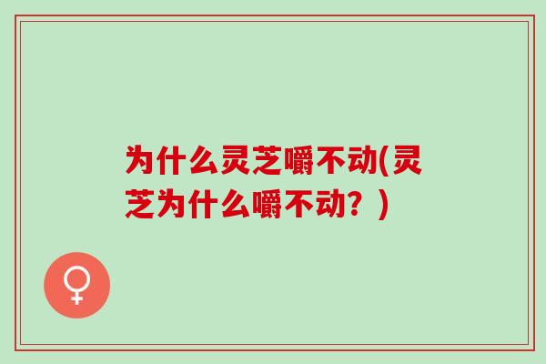 为什么灵芝嚼不动(灵芝为什么嚼不动？)