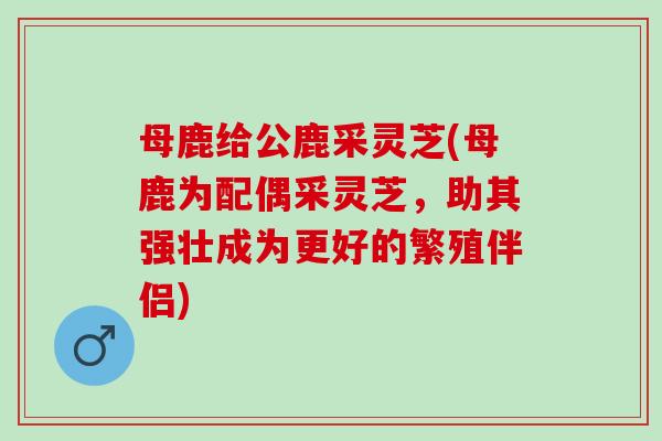 母鹿给公鹿采灵芝(母鹿为配偶采灵芝,助其强壮成为更好的繁殖伴侣) 母鹿给公鹿采灵芝(母鹿为配偶采灵芝,助其强壮成为更好的繁殖伴侣)