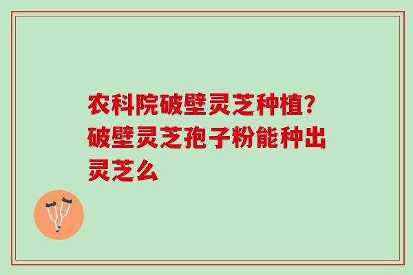 农科院破壁灵芝种植？破壁灵芝孢子粉能种出灵芝么