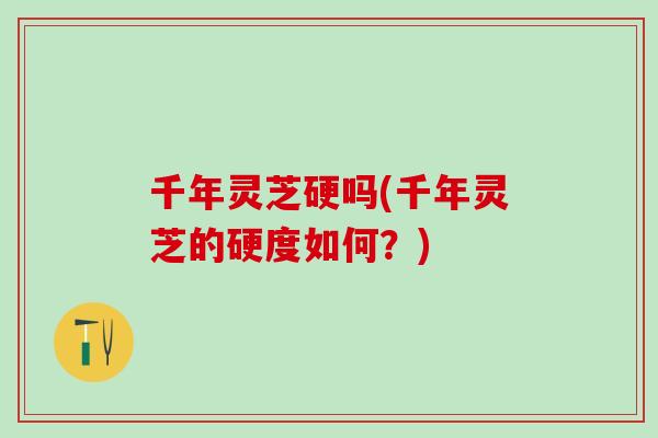 千年灵芝硬吗(千年灵芝的硬度如何？)