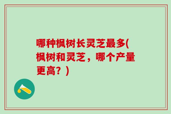哪种枫树长灵芝多(枫树和灵芝，哪个产量更高？)