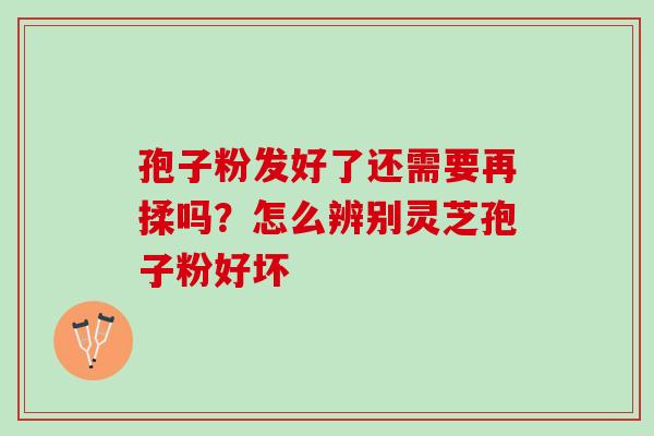 孢子粉发好了还需要再揉吗？怎么辨别灵芝孢子粉好坏